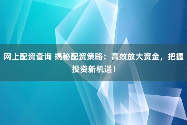 网上配资查询 揭秘配资策略：高效放大资金，把握投资新机遇！