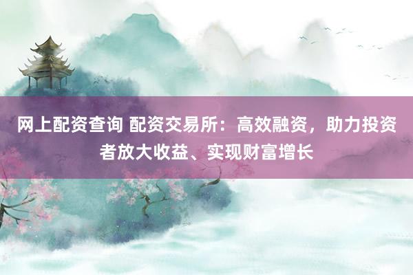 网上配资查询 配资交易所：高效融资，助力投资者放大收益、实现财富增长