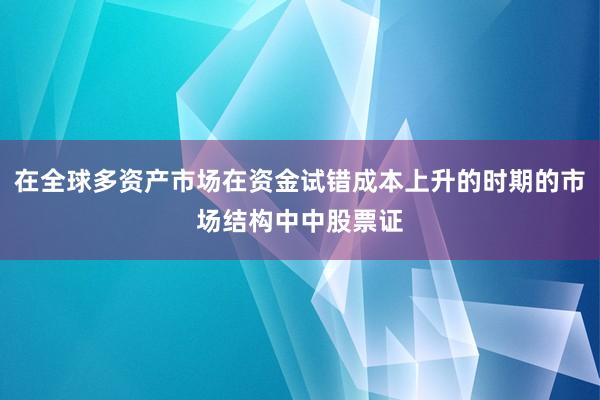 在全球多资产市场在资金试错成本上升的时期的市场结构中中股票证