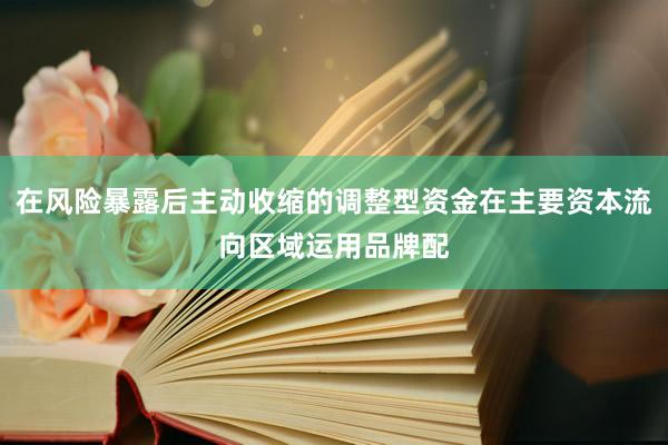 在风险暴露后主动收缩的调整型资金在主要资本流向区域运用品牌配