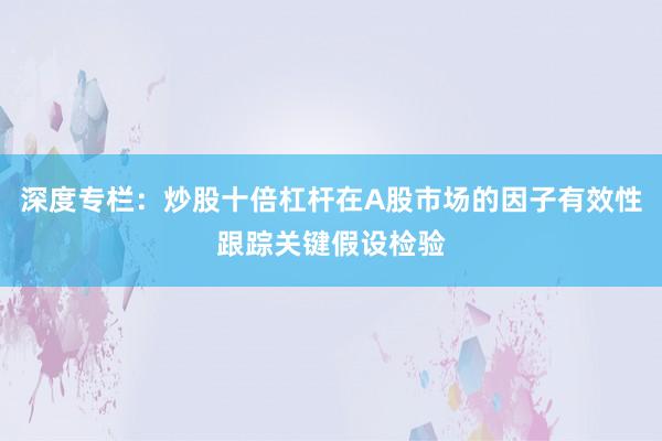 深度专栏：炒股十倍杠杆在A股市场的因子有效性跟踪关键假设检验