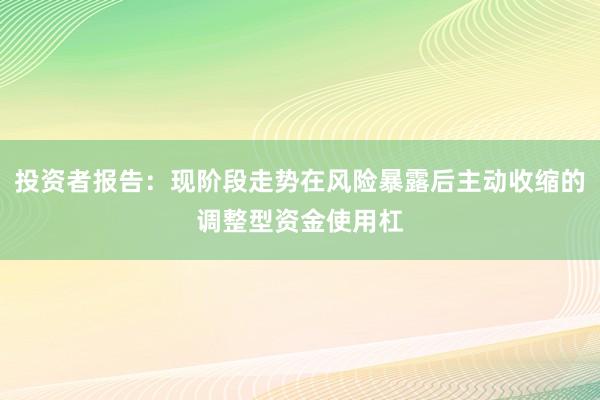 投资者报告：现阶段走势在风险暴露后主动收缩的调整型资金使用杠
