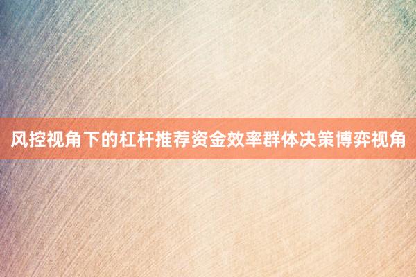 风控视角下的杠杆推荐资金效率群体决策博弈视角