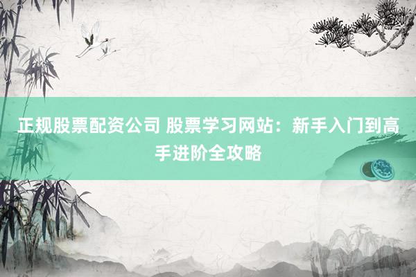 正规股票配资公司 股票学习网站：新手入门到高手进阶全攻略