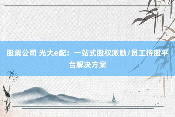 股票公司 光大e配：一站式股权激励/员工持股平台解决方案
