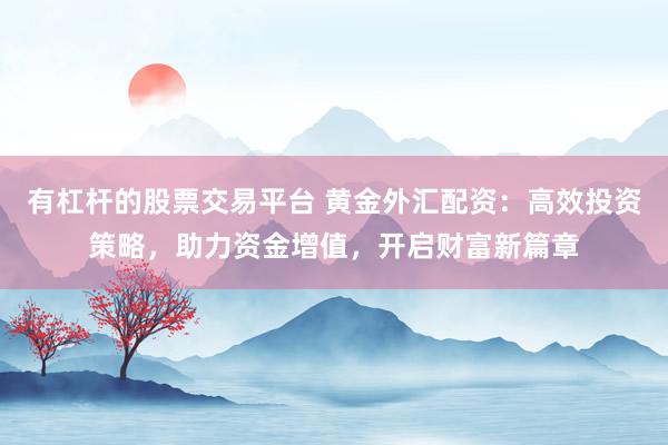 有杠杆的股票交易平台 黄金外汇配资：高效投资策略，助力资金增值，开启财富新篇章