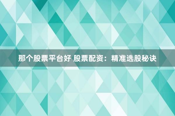 那个股票平台好 股票配资：精准选股秘诀