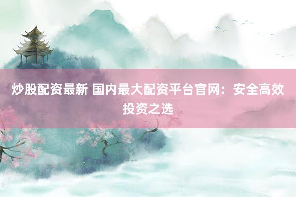 炒股配资最新 国内最大配资平台官网：安全高效投资之选