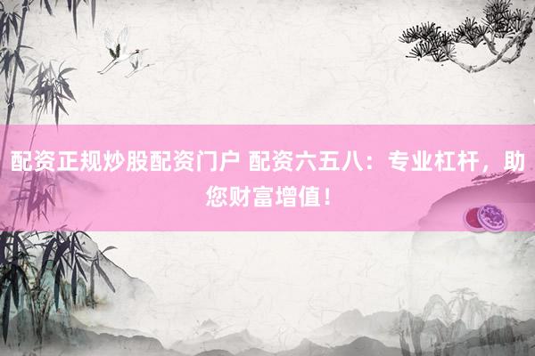 配资正规炒股配资门户 配资六五八：专业杠杆，助您财富增值！