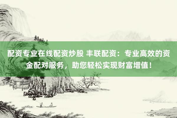 配资专业在线配资炒股 丰联配资：专业高效的资金配对服务，助您轻松实现财富增值！