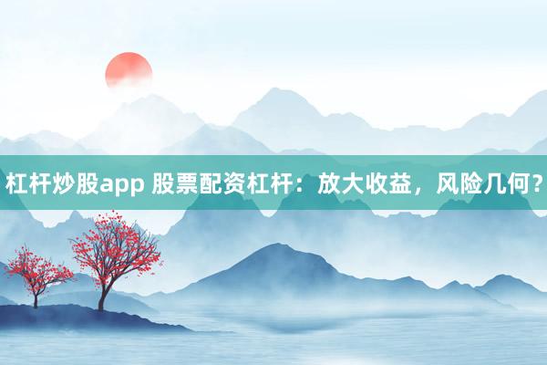 杠杆炒股app 股票配资杠杆：放大收益，风险几何？